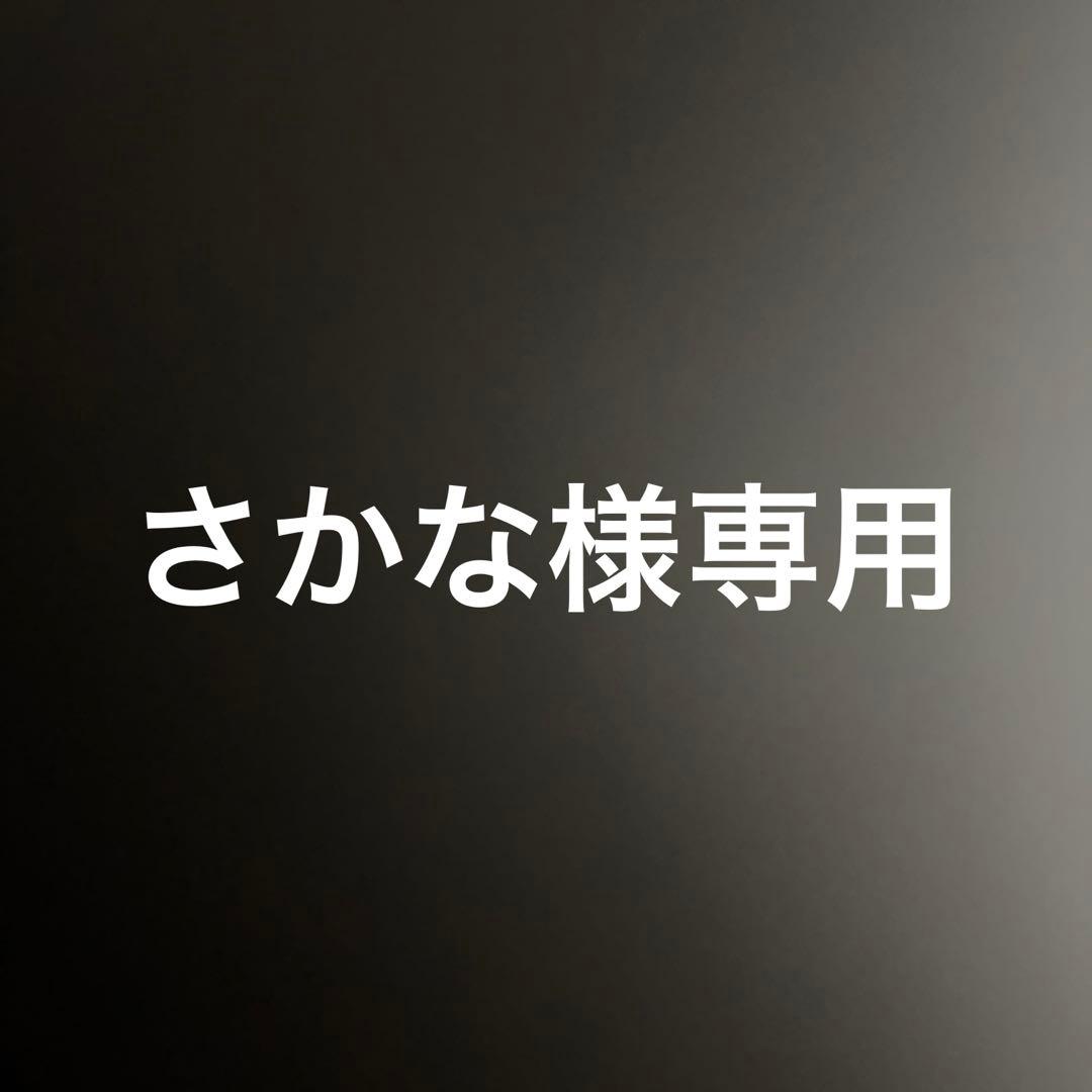 ミニ四駆　フロント強化ガード5個