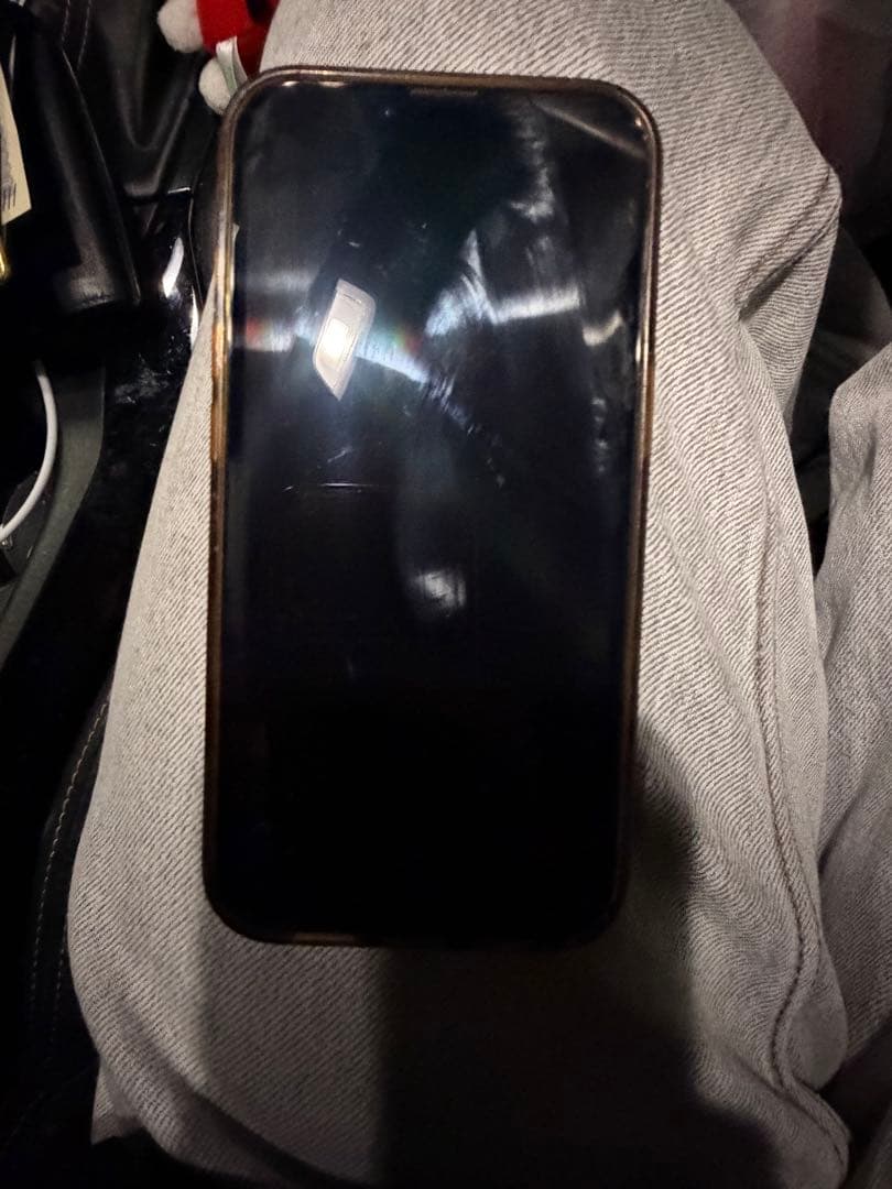 Apple iPhone 13 Pro グラファイト 256GB