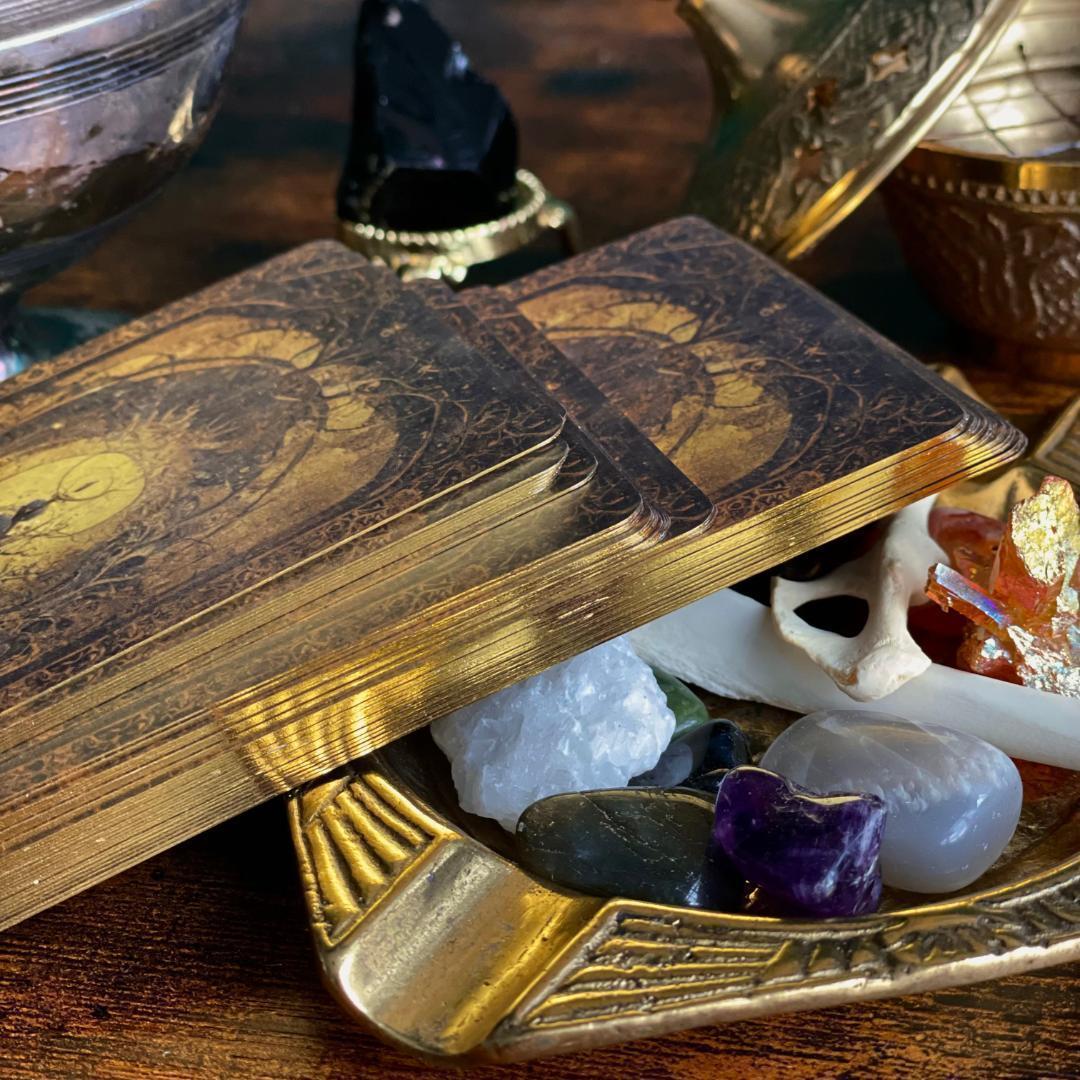 cherie chien★タロット