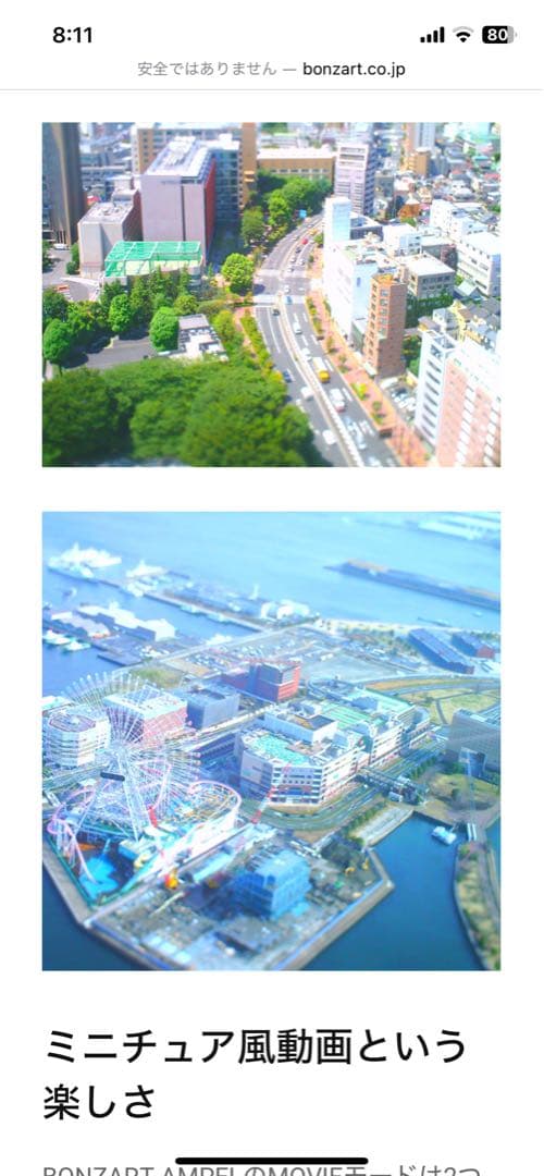 BONZART AMPEL ボンザート アンペル