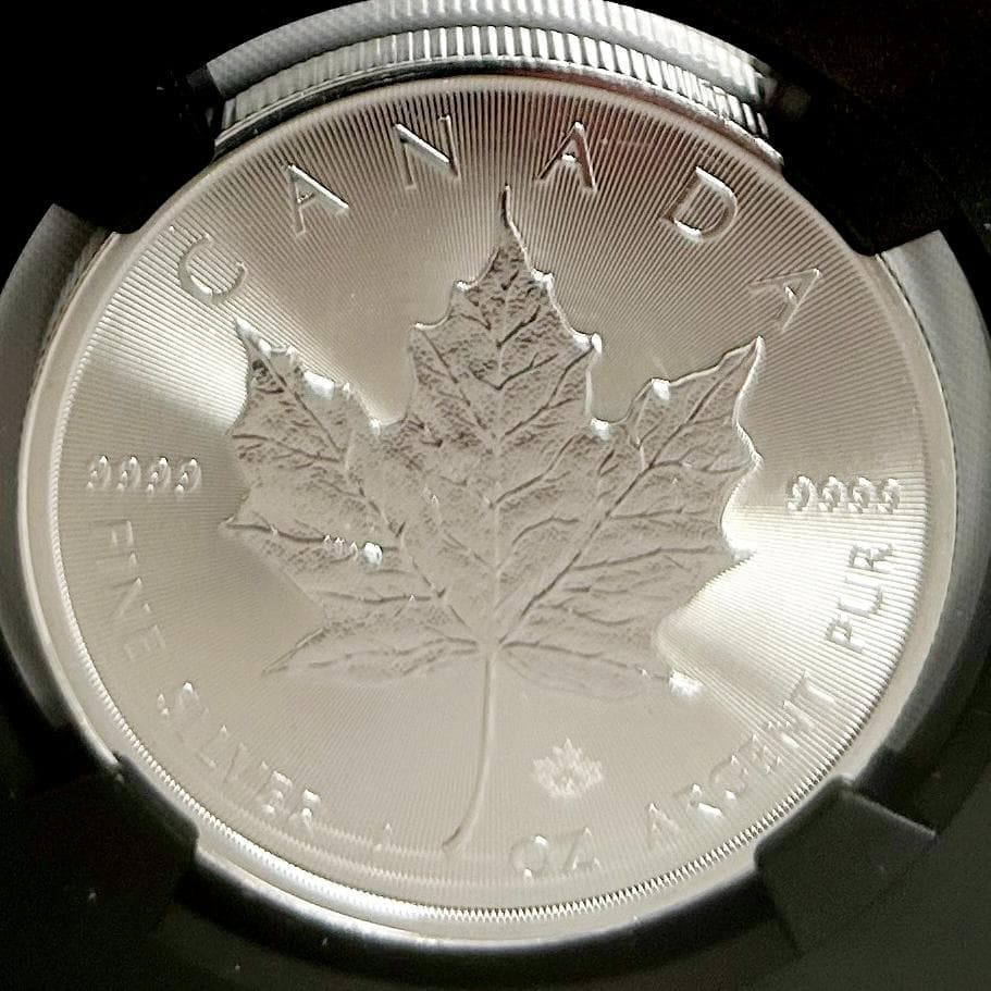 2025年 カナダ　メープルリーフ NGCMS69 8326877-212