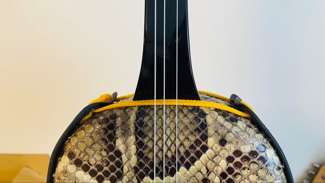 本皮 三線 美品！ケース+ウマ+バチ付き 沖縄三線