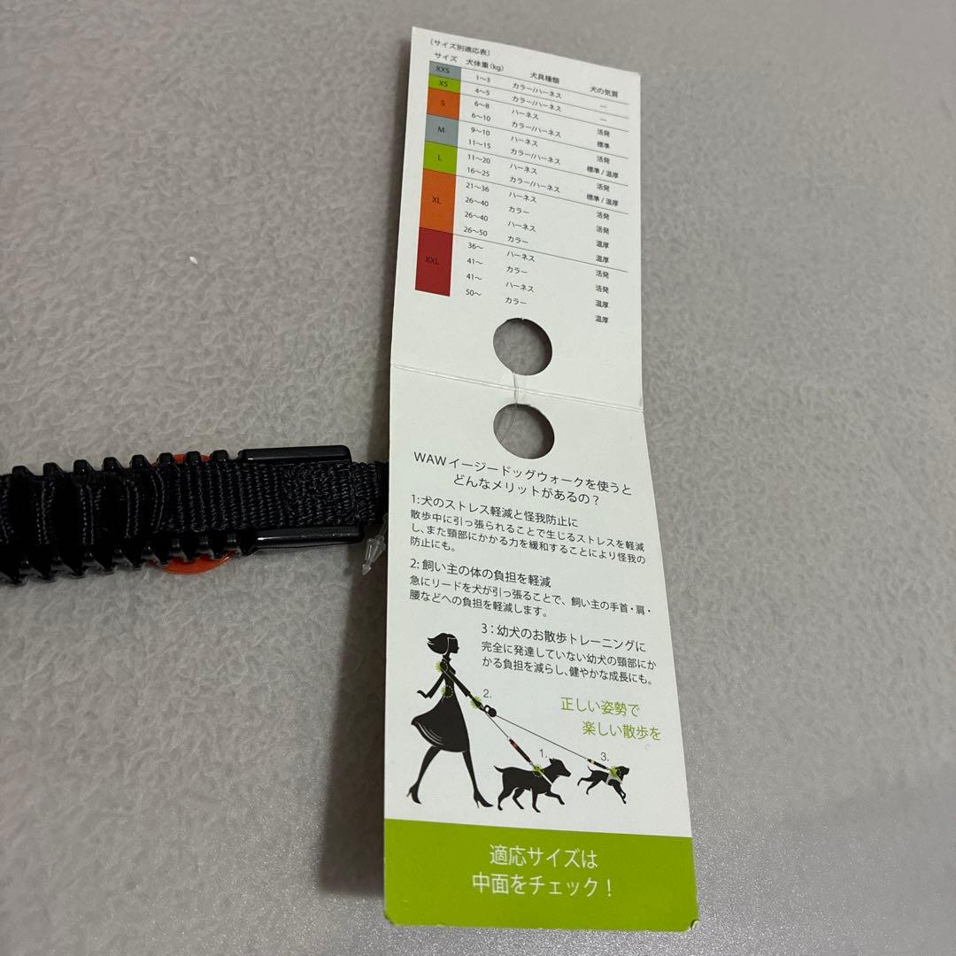 【DADWAY】イタリア製　ペット用　犬　リードS 2点　新品