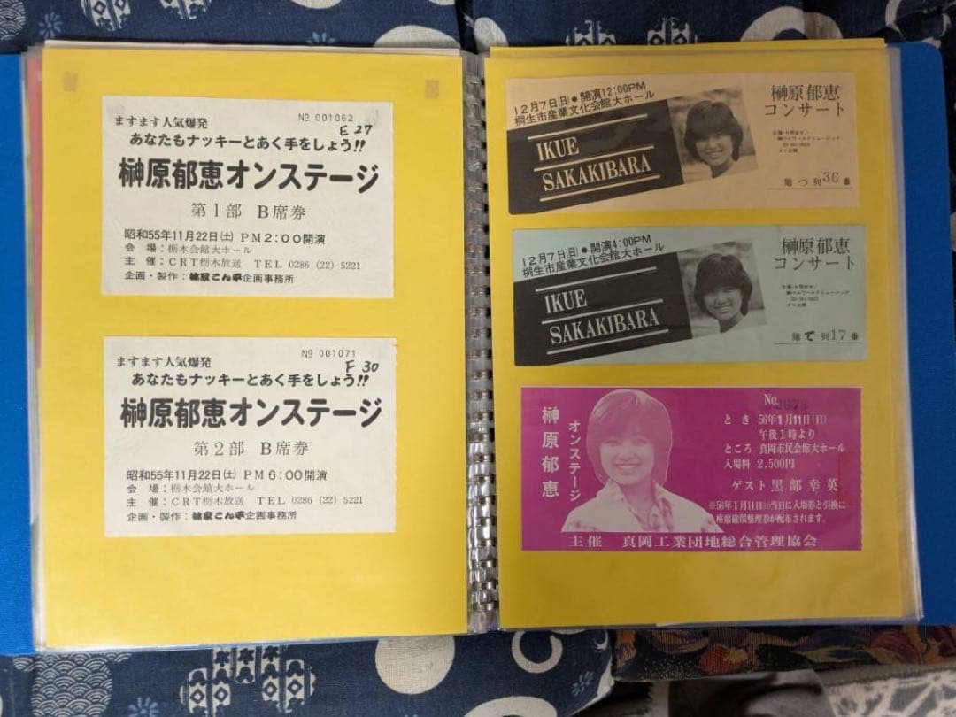 【貴重】榊原郁恵　パンフレット　グッズ　ブロマイド