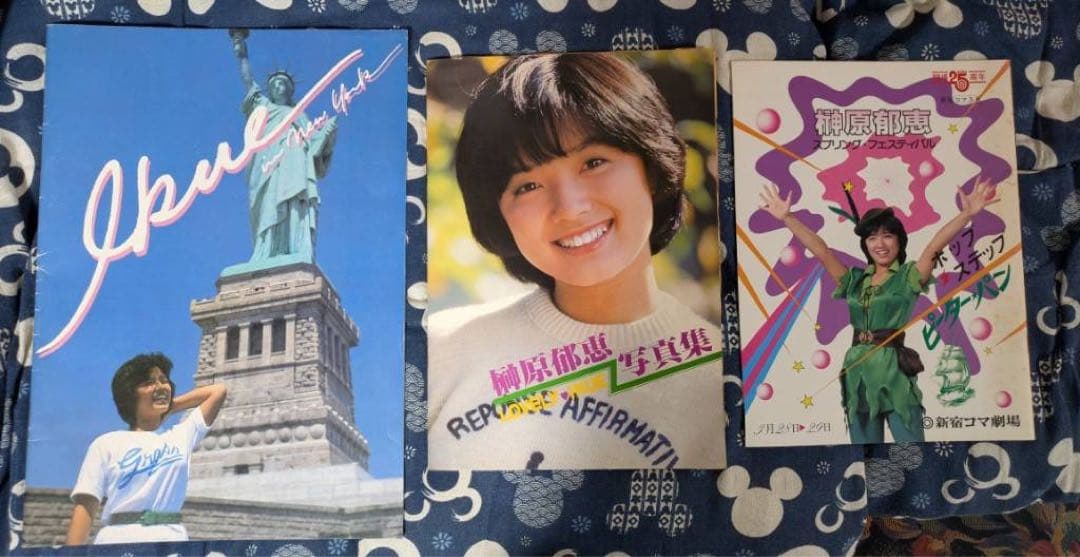 【貴重】榊原郁恵　パンフレット　グッズ　ブロマイド