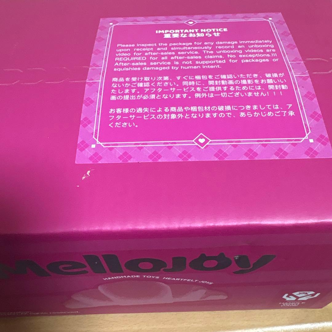 Mellojoy メロジョイ 2026年新年チーム