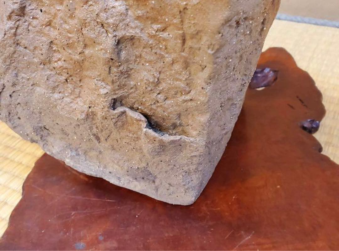 （No122）山野草　水草　鉢　龍聖作　令6