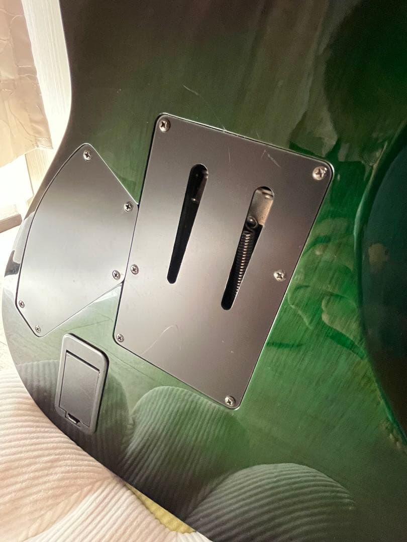 【限定色】Schecter Hellraiser c-1 FR