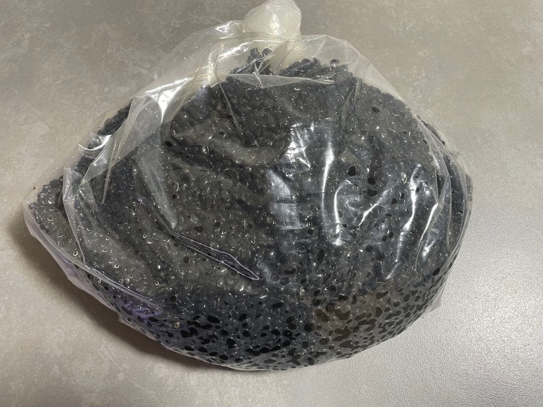 【引取り】ADA キューブガーデン 水槽 金魚60×45×36 漆黒砂利 ライト