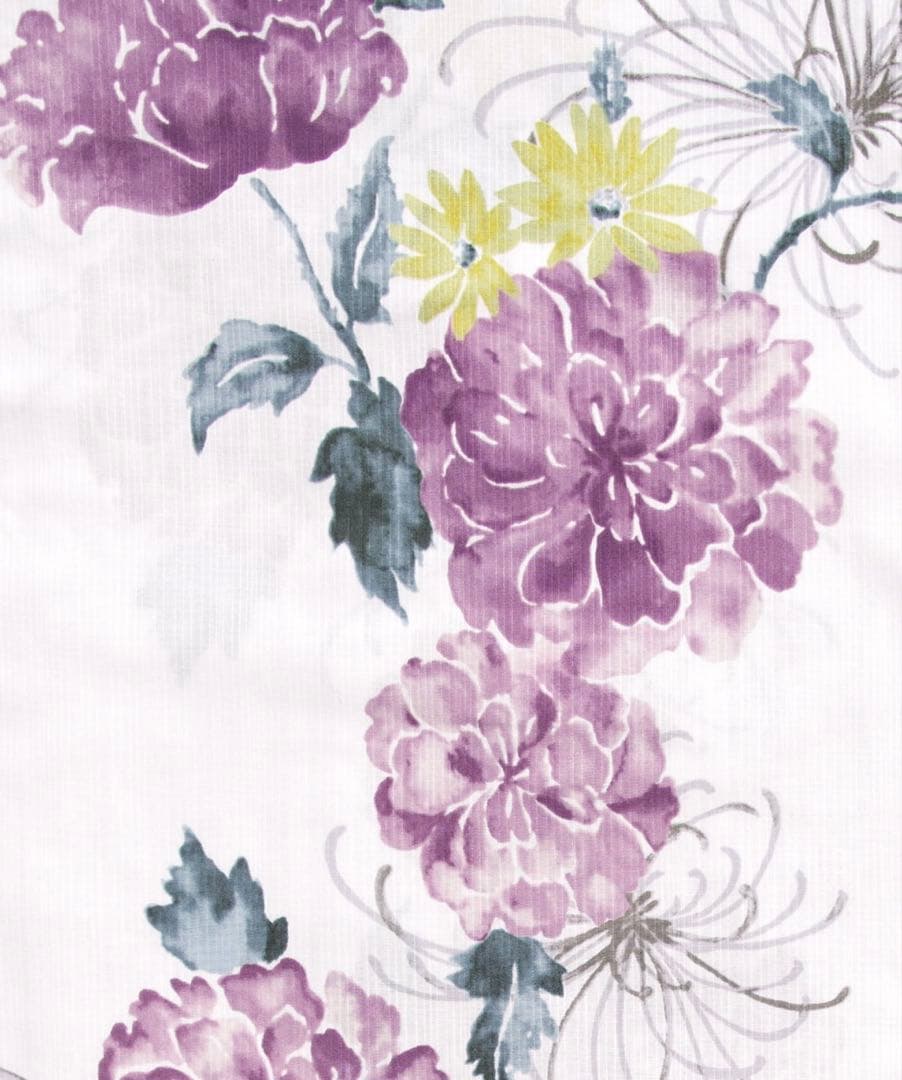 Dita 京藤色の菊重ね　浴衣