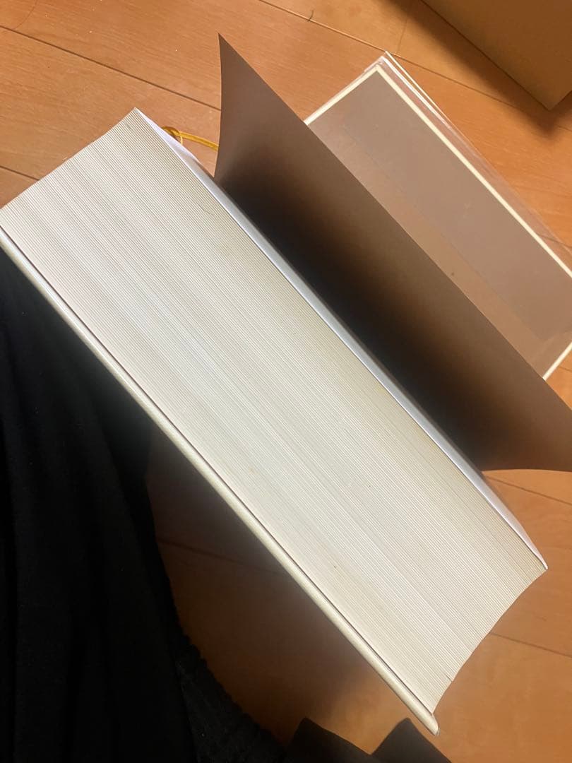 LE GUIDE CULINAIRE オーギュスト・エスコフィエ