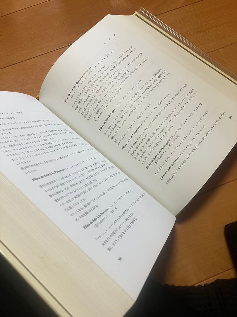 LE GUIDE CULINAIRE オーギュスト・エスコフィエ