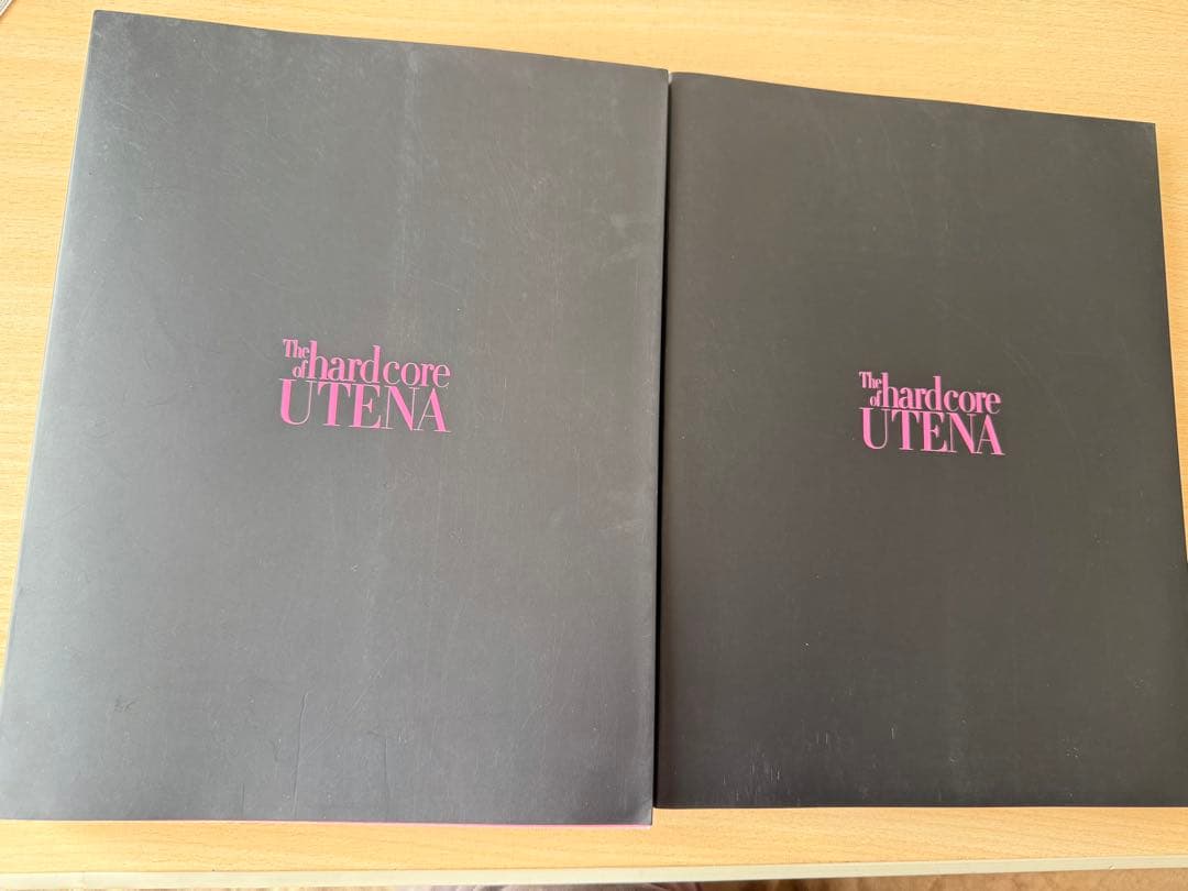少女革命ウテナ　画集 The hard core of UTENA 購入特典有
