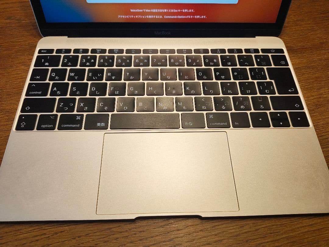 たるっぴ　MacBook2017 12インチ 8G 256GB