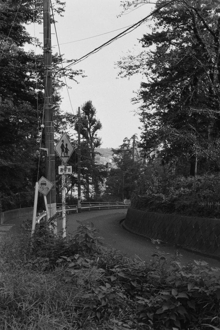 フィルムカメラ CONTAX AX