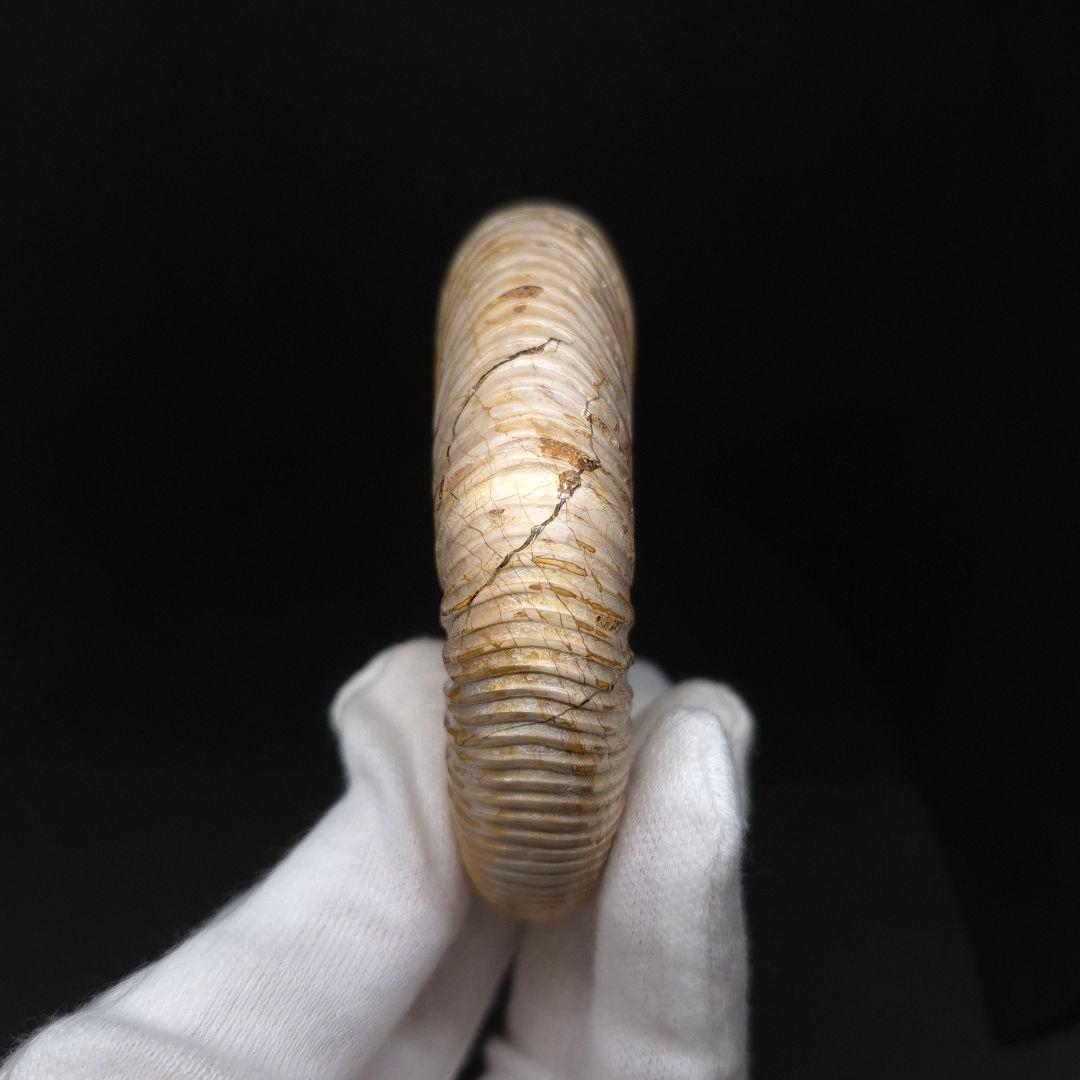 美品 アンモナイト ペリスフィンクテス 化石 本物 80.27mm anp93
