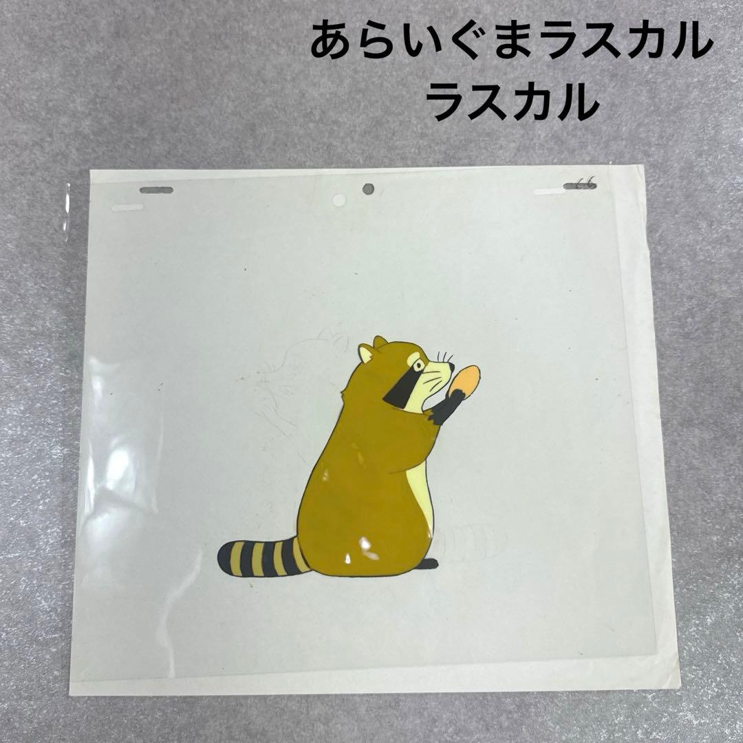 希少 あらいぐまラスカル ラスカル C6 セル画 日本アニメーション