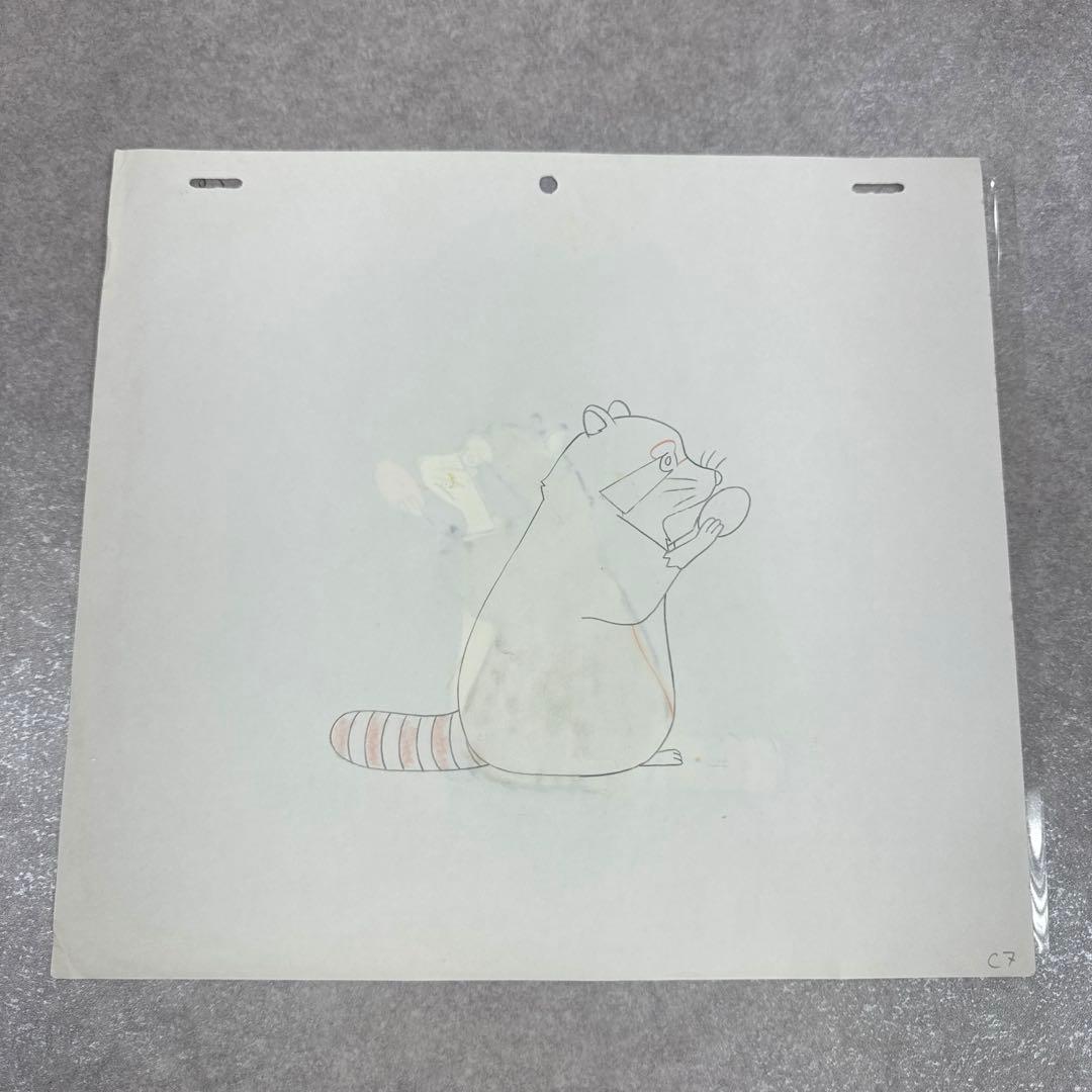 希少 あらいぐまラスカル ラスカル C6 セル画 日本アニメーション