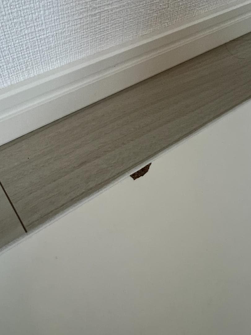 【未使用】FlexiSpot メラミン化粧板 ホワイト 120×60×2.5cm