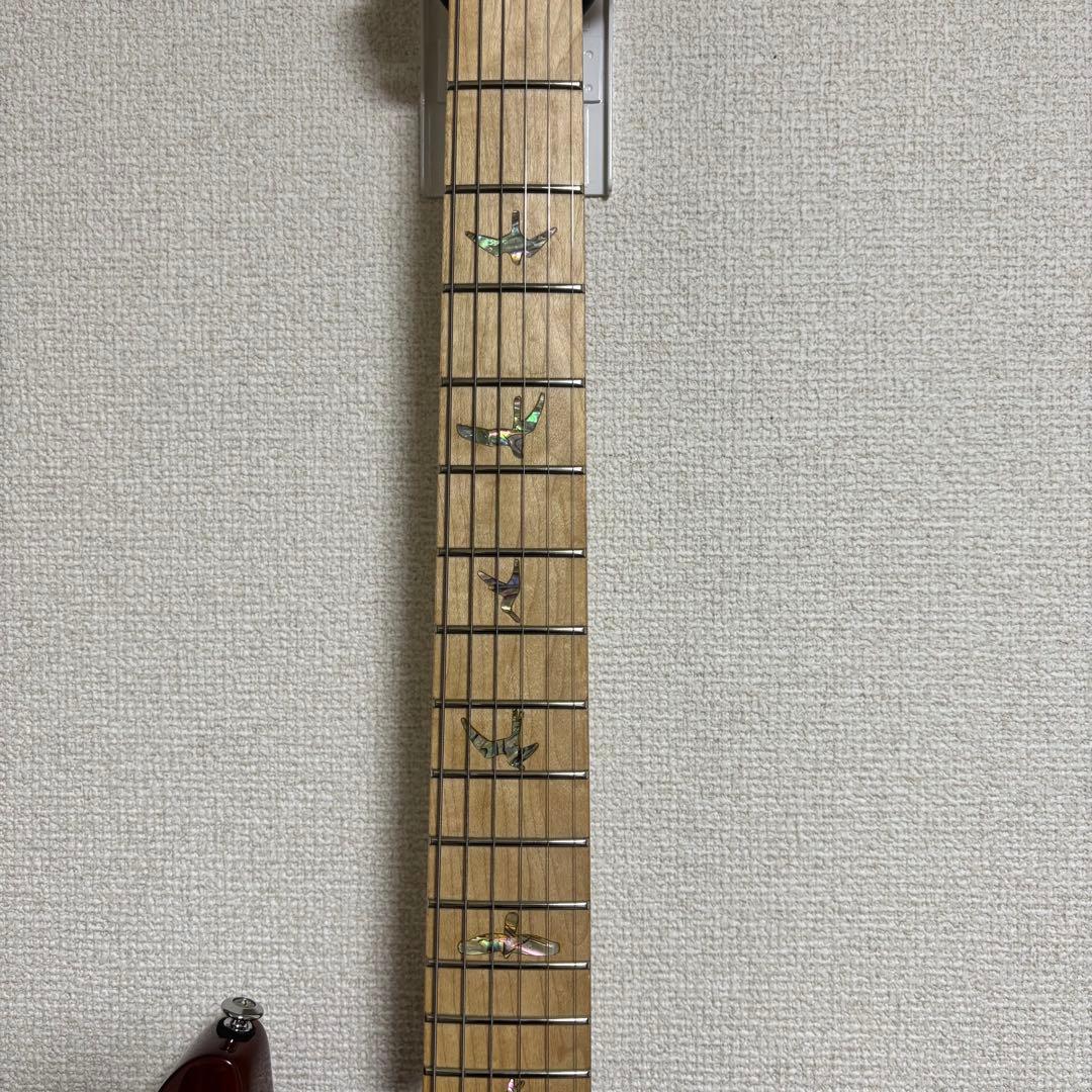 PRS SE Swamp Ash Special 3.5kg良個体2023年製