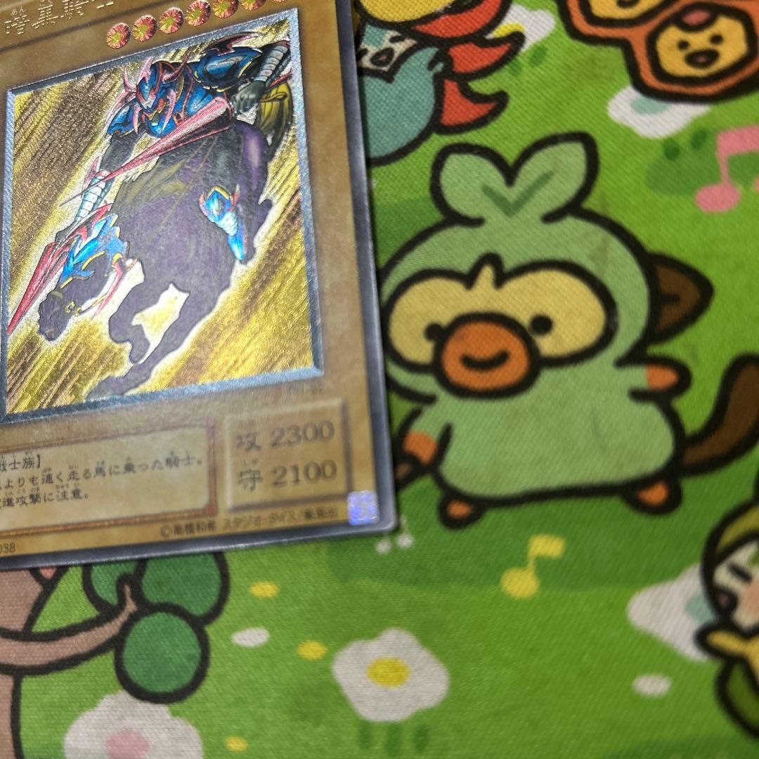 最安値出品　ガードナーはおまけ