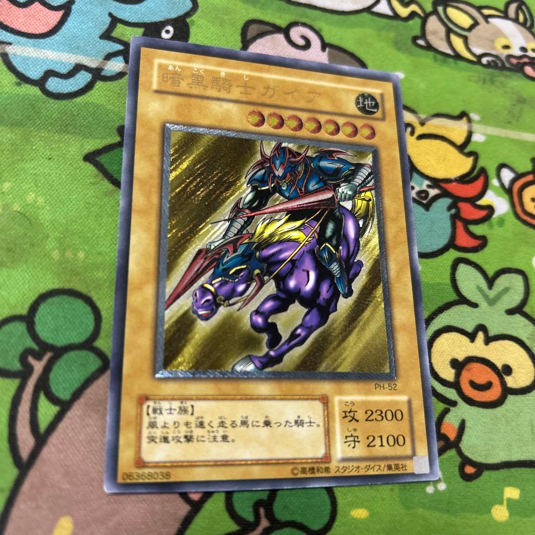 最安値出品　ガードナーはおまけ