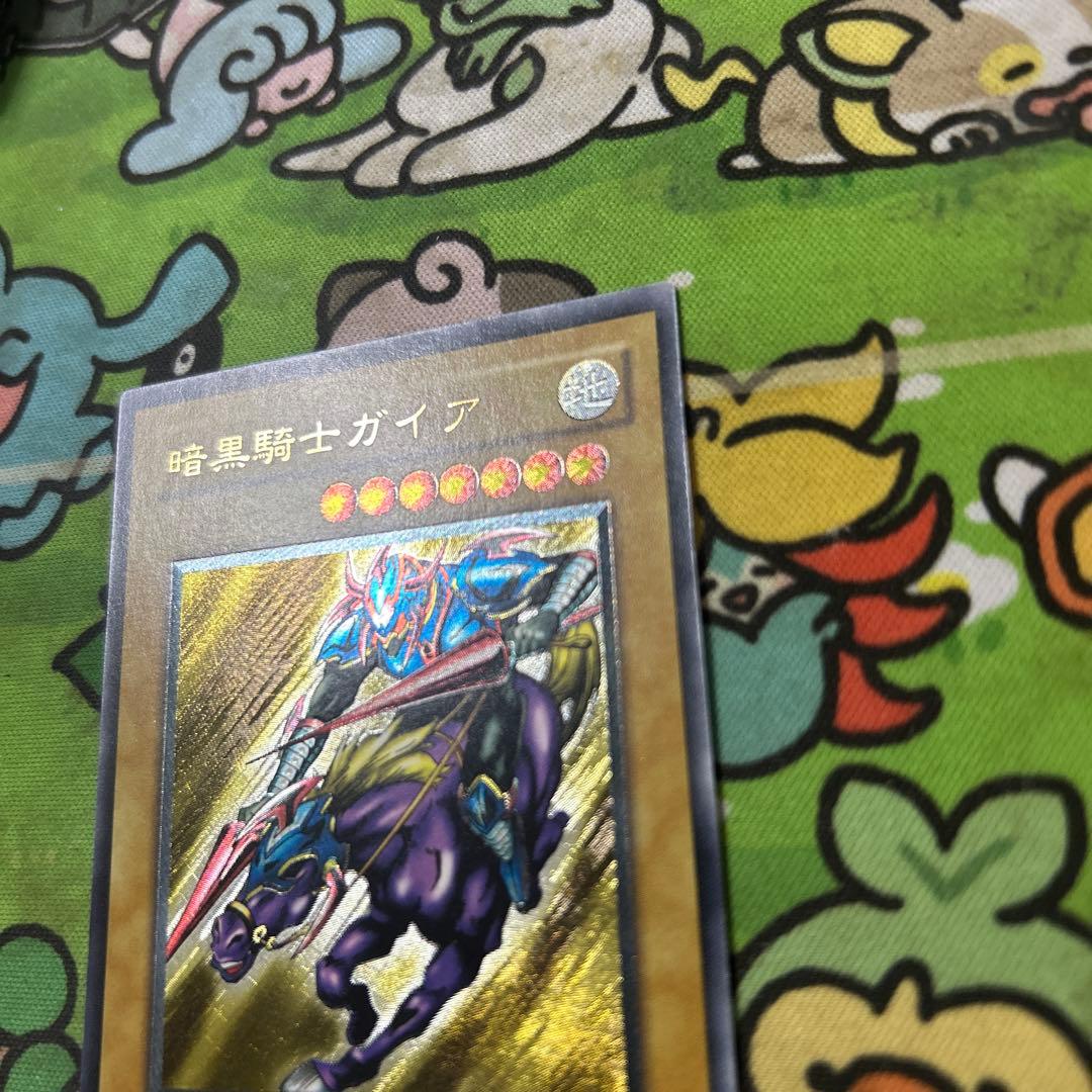 最安値出品　ガードナーはおまけ