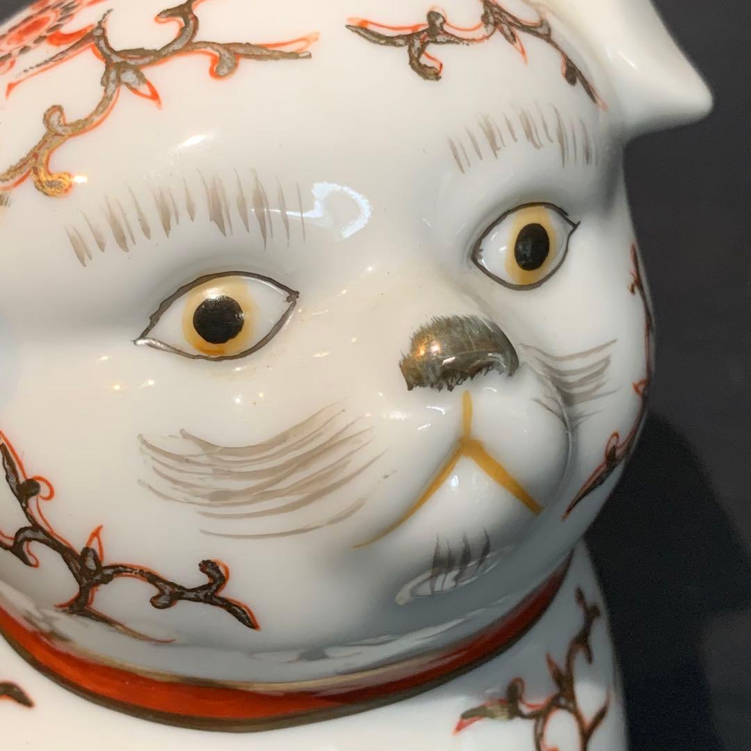 とても珍しい　仔犬の伊万里