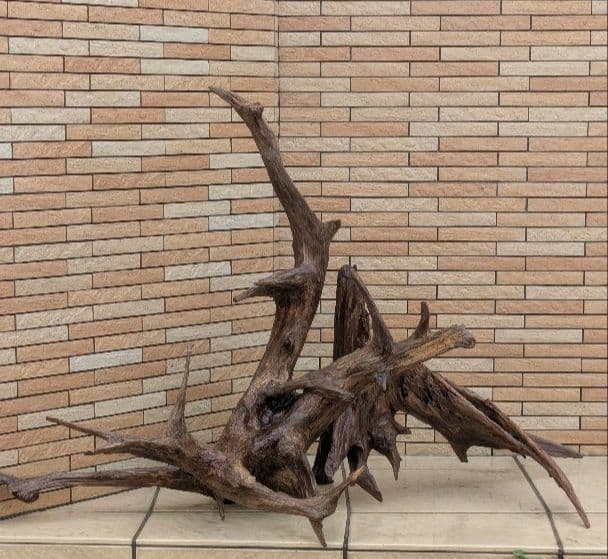 流木(630)　大型流木2点セット　アクアリウム　テラリウム