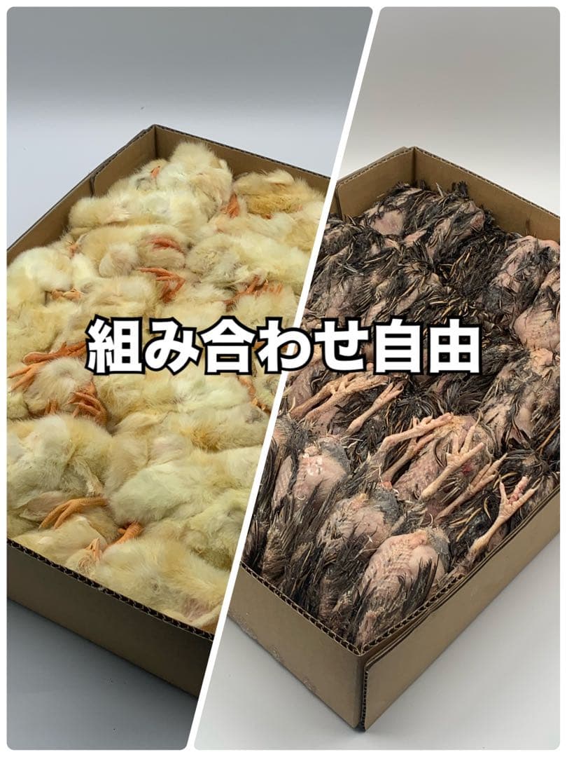 冷凍ヒヨコ5kg×2段【送料込】