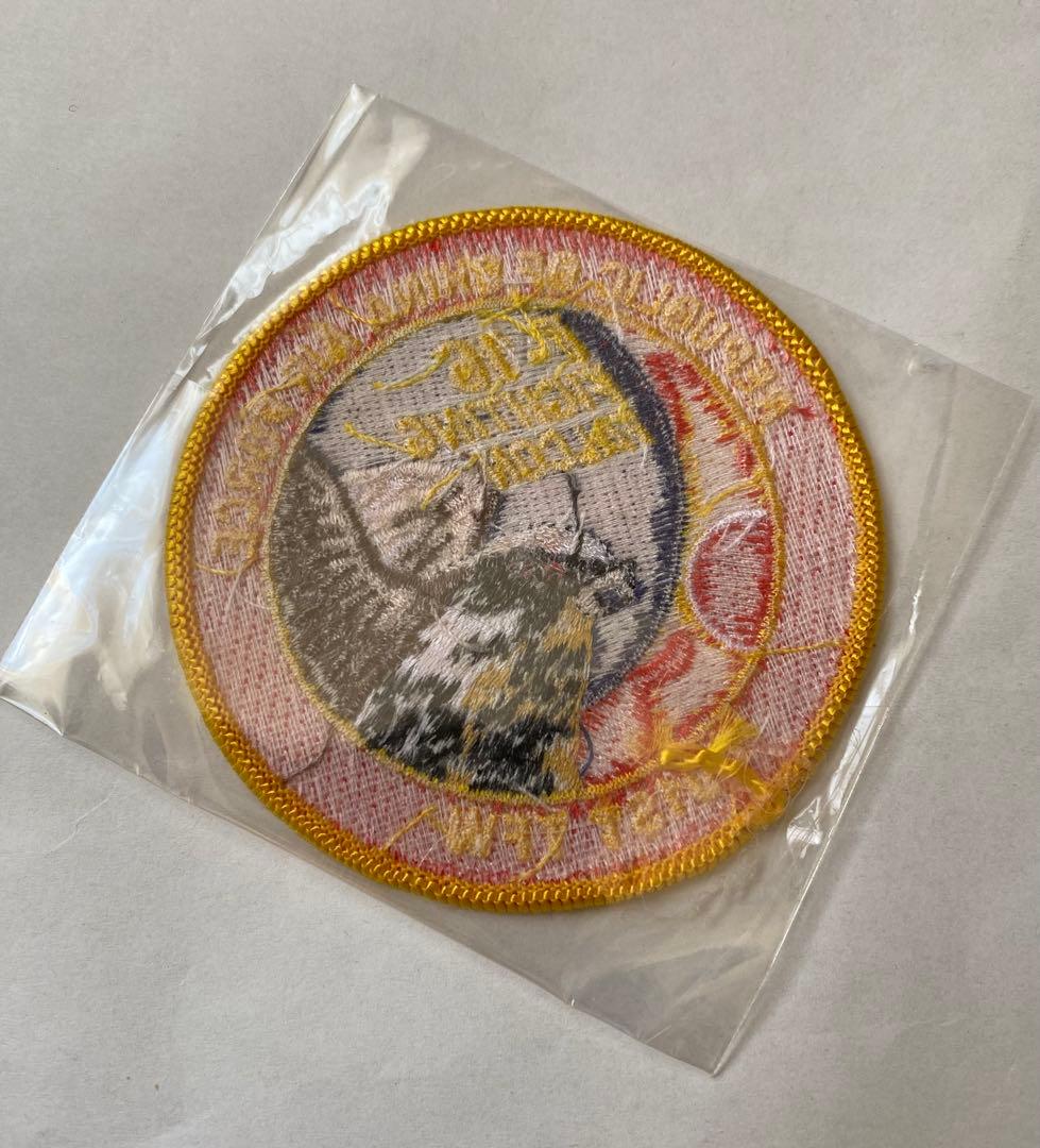 入手困難 CHINA AIR FORCE F-16 401ST ファルコン