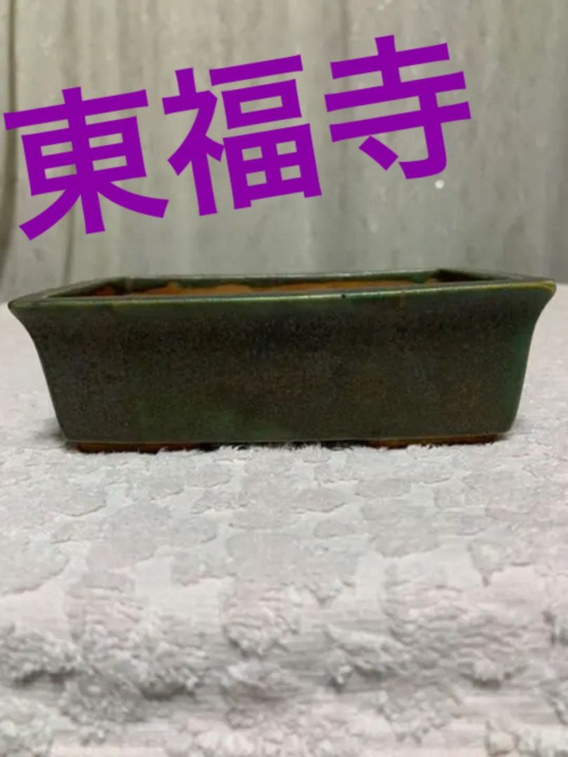 盆栽鉢　東福寺