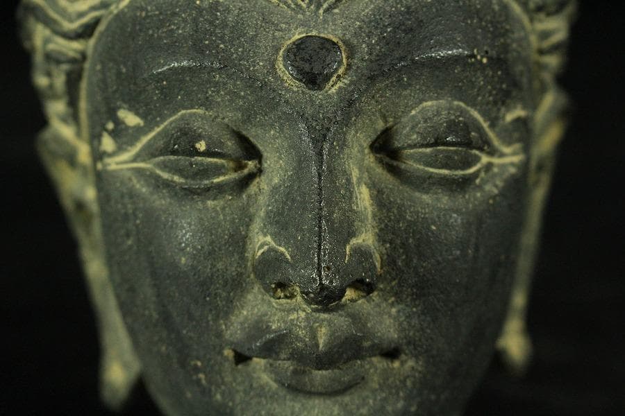 仏教美術 ガンダーラ仏頭(K-XA903)