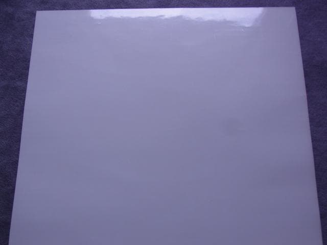 未使用　非売品　PC　ポスター　スタークラフト　STAR CRAFT　ブリザード