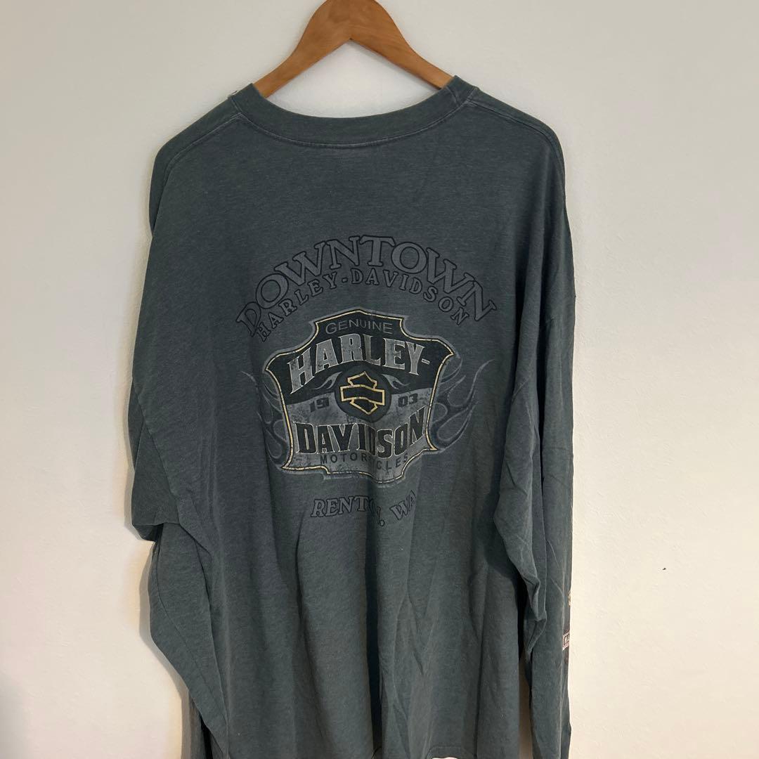 辺乃90s USA製ヴィンテージ　Harley-Davidson 袖フレイ