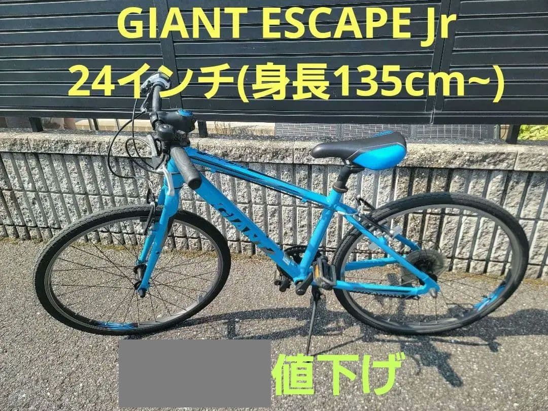 GIANT ESCAPE JR ジュニア用クロスバイク 24インチ