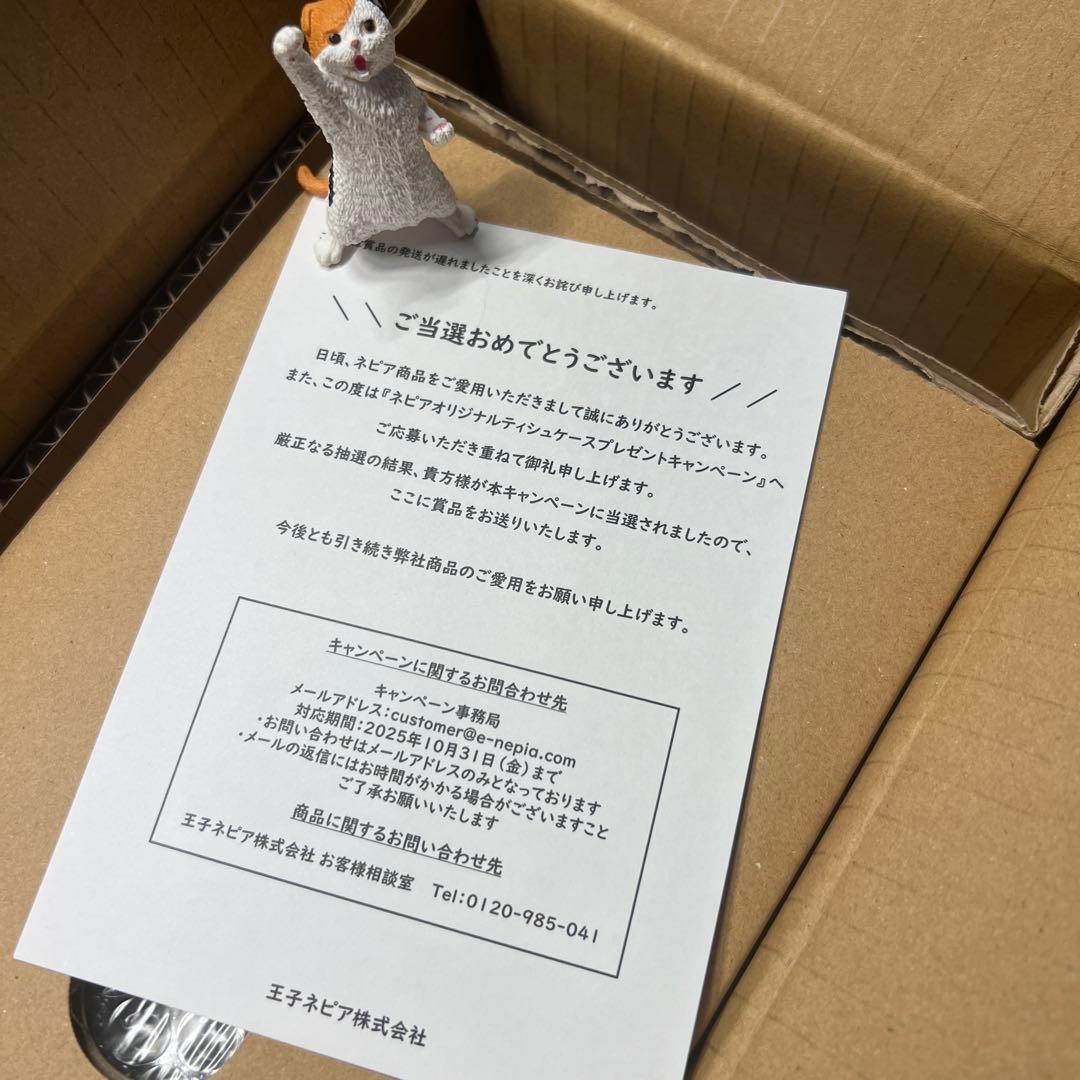 ネピア　目黒蓮　ティッシュケースキャンペーン当選アイテムとスライドポーチ付き