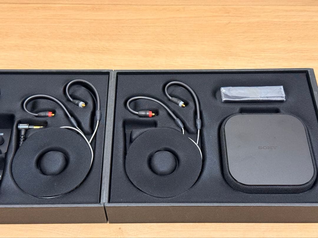 SONY 密閉型インイヤーヘッドホン IER-M9