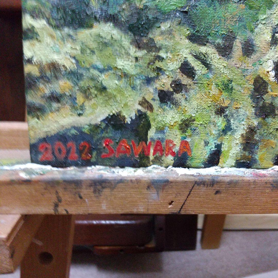 絵画、油彩、F6号、沖縄の2匹泳ぐ海亀、佐原聖春