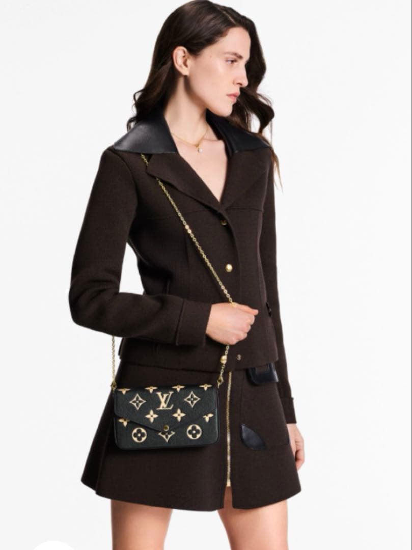 LOUIS VUITTON ルイヴィトン ポシェットフェリシー バック 本体のみ