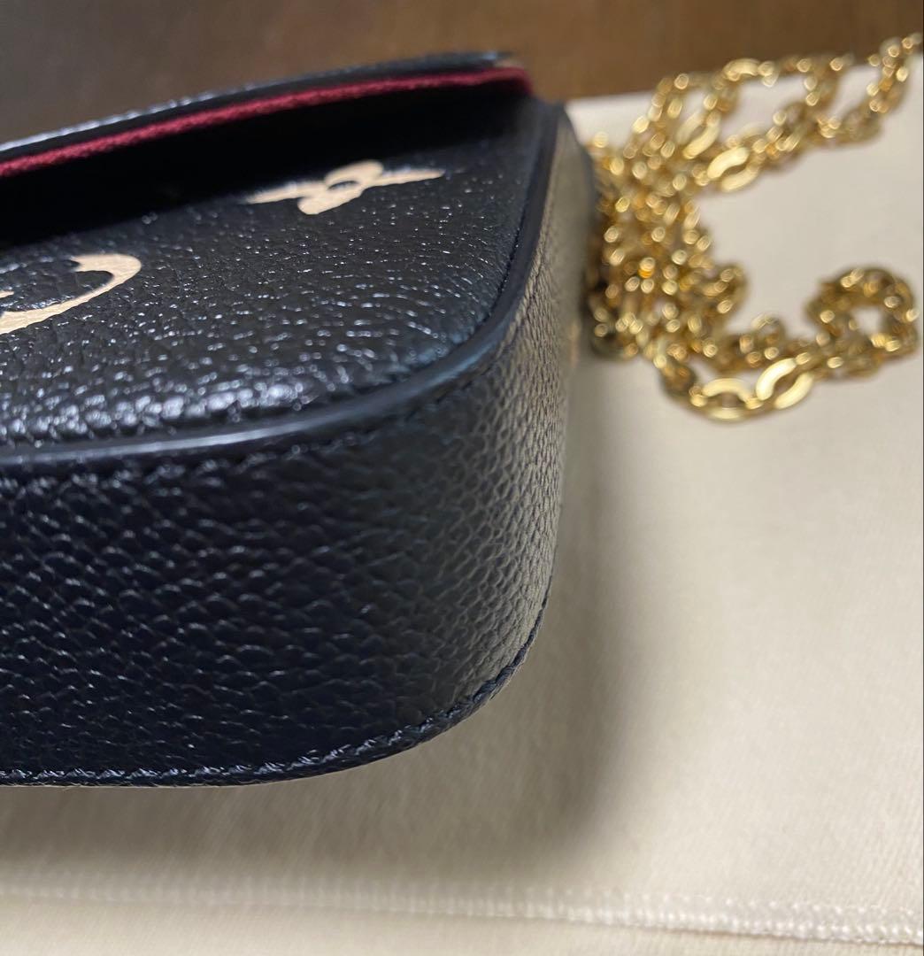 LOUIS VUITTON ルイヴィトン ポシェットフェリシー バック 本体のみ