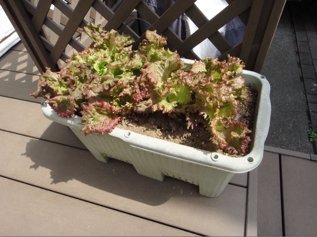 【美品・動作確認済】SONY Cyber-shot DSC-TX5 デジカメ