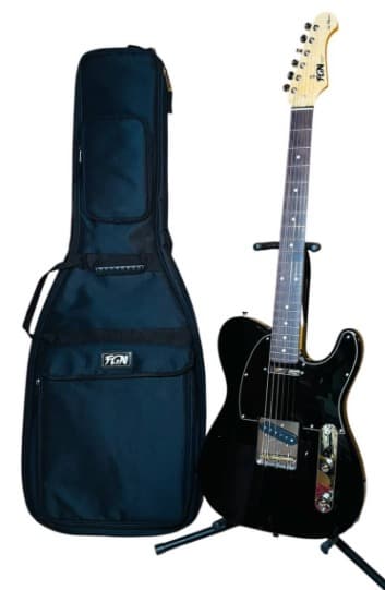 美品 FUJIGEN NTE100RAL-BK テレキャスター 日本製 ギター