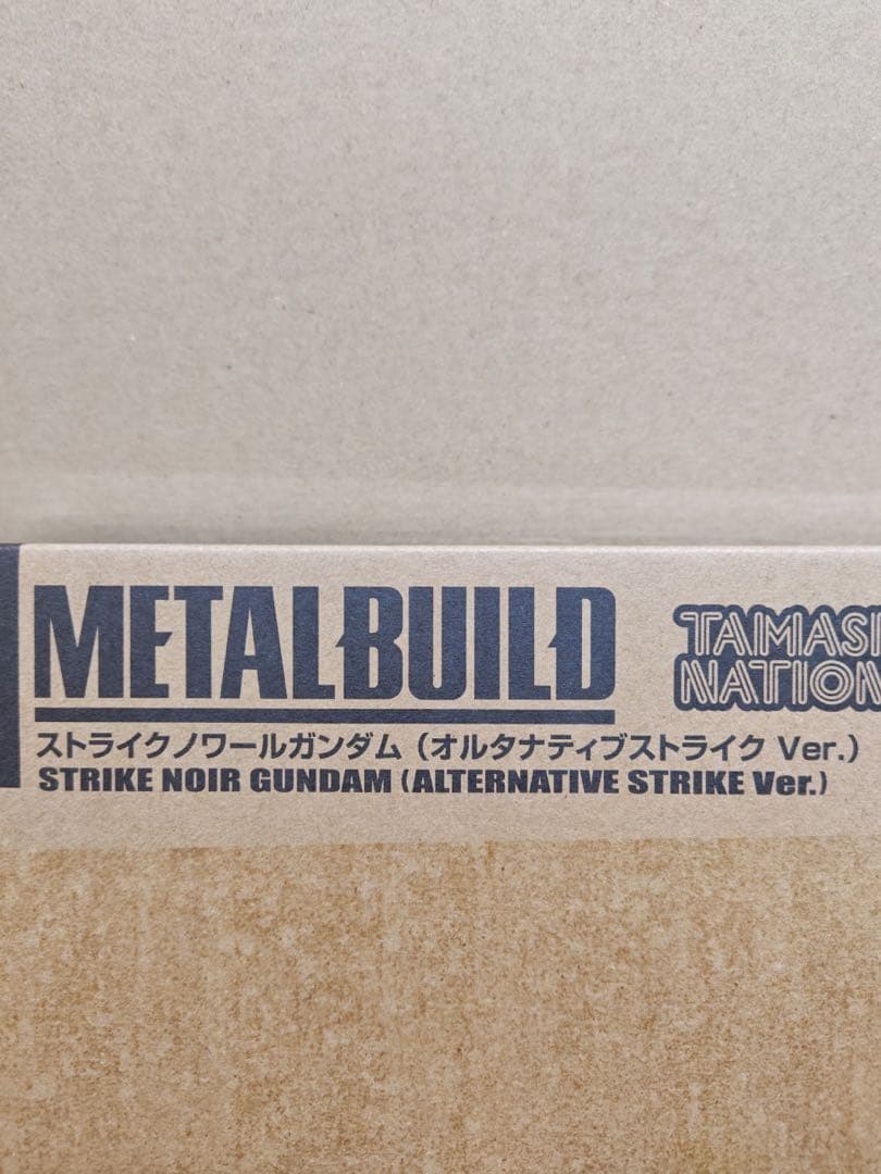メタルビルド ２体セット