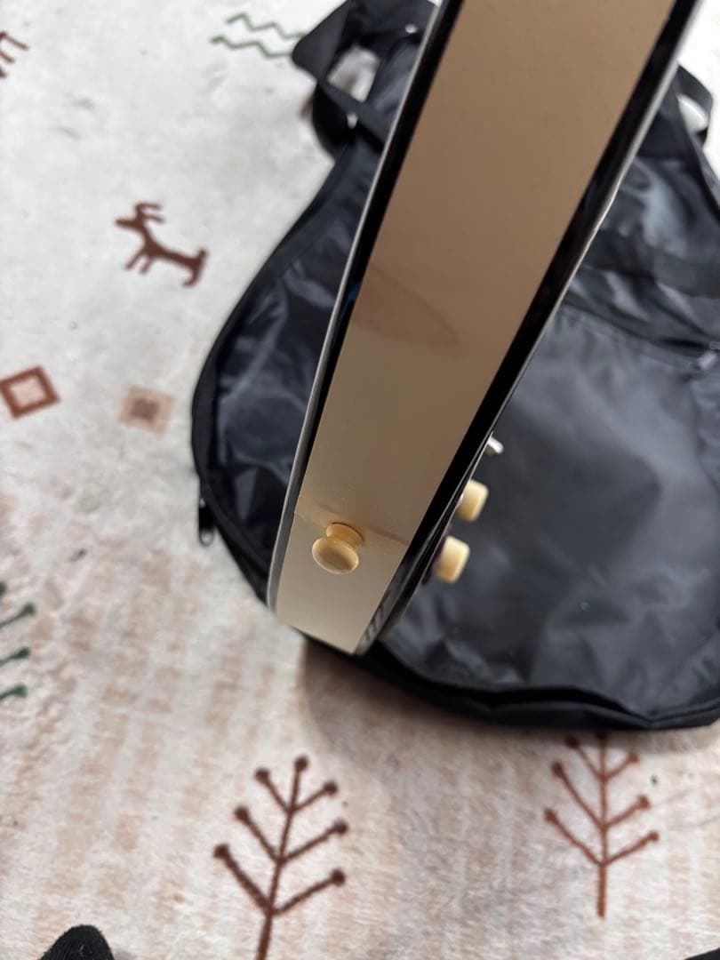 超美品！メンテナンス済み　Danelectro 59 DC