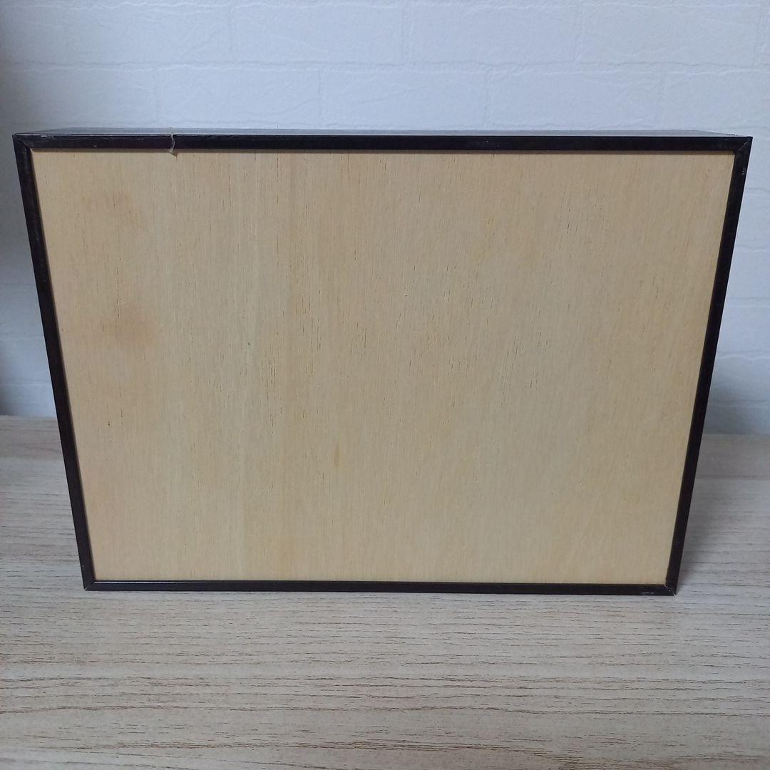 【アクティオンゾウカブトムシ】 アクティオン標本 　昆虫セット　オスメスペア