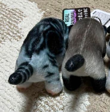 猫 つまんで マスコット ボールチェーン リアルアニマル とら猫 シャム猫