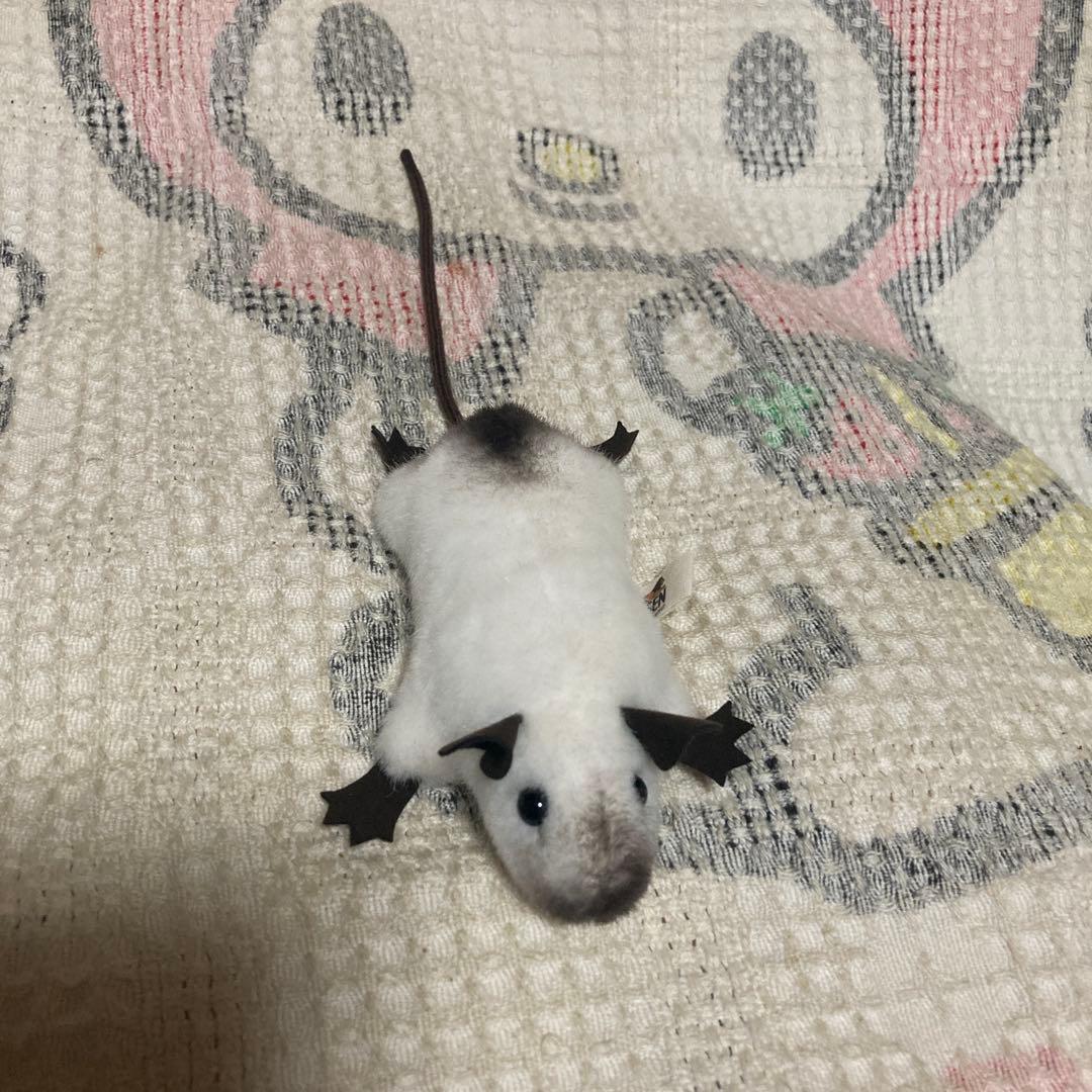 ケーセン Koesen ぬいぐるみ サイアミーズラット　中古品