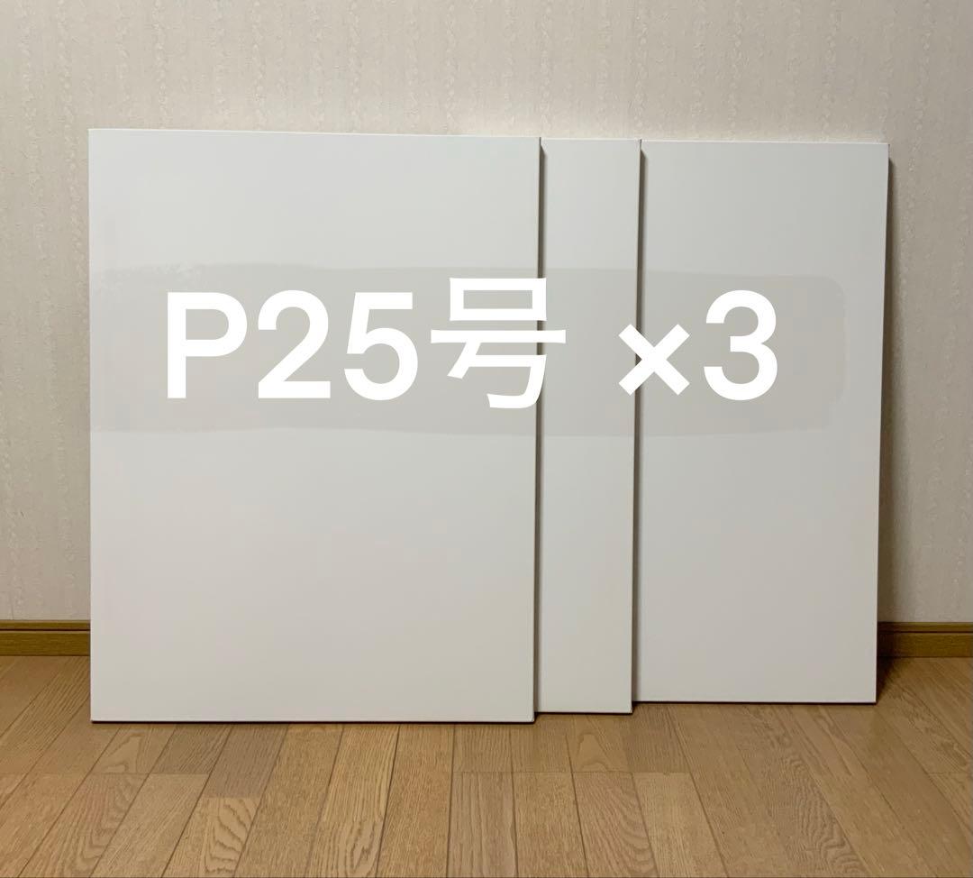 未使用　P25キャンバス 3枚セット