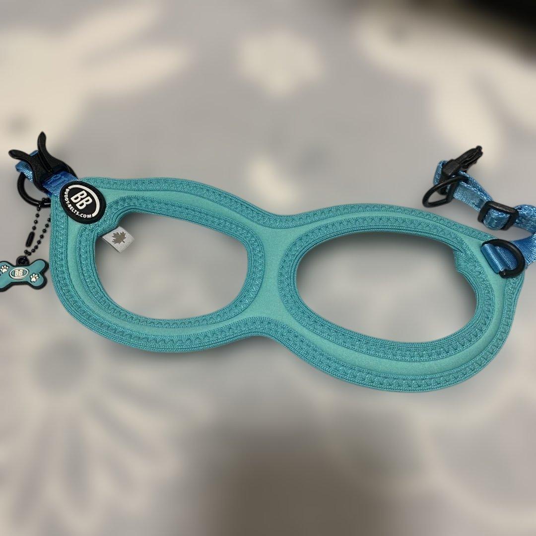 バディベルト　BBスポーツブルー　サイズ3.5 リードセット